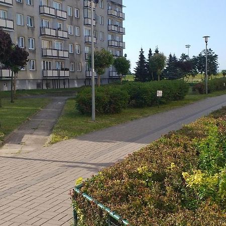 Апартаменты Apartament Wik-Mar Эльблонг Экстерьер фото